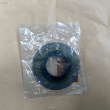CUMMINS SEAL,OIL 4080404