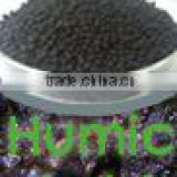 Humic Acid Raw Powder