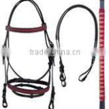 Bridles and Halters
