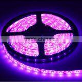 5050 Nonwaterproof IP20 White 60LED UL Certificate Led Strip CE ROHS thumbnail-5