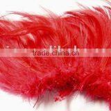 Cock Feather thumbnail-1