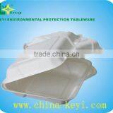 Disposable Food Container thumbnail-1