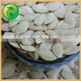 Dalian China Cover Crop Seeds Pumpkin Seeds thumbnail-2