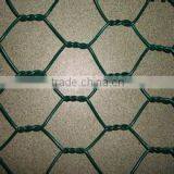 PVC Coated Green Chicken Wire Mesh(factory)
