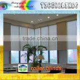 Glass Curtain Wall thumbnail-1