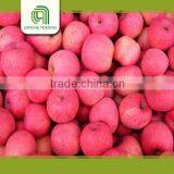 Bulk Fresh Fuji Apple Fruit Products thumbnail-1