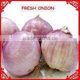Onion Importers in Quatar/onion Importers in Malaysia/fresh Onion thumbnail-6