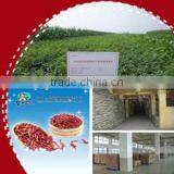 2012 New Crop Red Dried Whole Chili Pepper Pods thumbnail-1