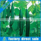 Lowest Price Greenhouse Growing Vegetable thumbnail-1