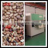 Belt Type CCD Peanut Color Sorter Machine Price 086 371 65866393