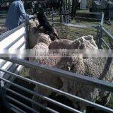 Manufactory Direct Heavy Duty Galvanized Corral Fence Cattle Panel Easy Establish Oem Wholesale thumbnail-6