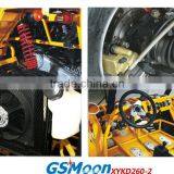 250cc EEC/EPA Racing Kart thumbnail-6