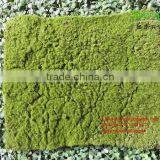 SJH1492346 Artificial Moss Artificial Decorative Moss Green Plastic Carpet thumbnail-1