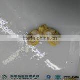 10KG BULK BABY CLAM MEAT FROM 2016 CLAM SEASON thumbnail-1