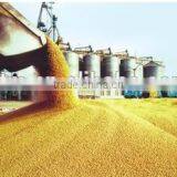 1 to 1 Ratio Gearbox for Grain Transportation thumbnail-6