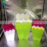 Square Plastic Flower Pot Series thumbnail-1