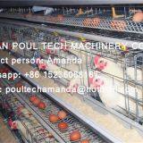 Vietnam Chicken Farming Hot Galvanized Cage for Layer & A Frame Battery Hen Cage & Chicken Coop for Poultry Farm