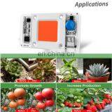 AC220V Driverless Welding Free 380nm-840nm Cob Led Chip Full Spectrum 50W For COB Grow Light thumbnail-5