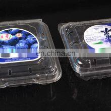 Clear HIPS Plastic Sheet for Vacuum Forming thumbnail-5