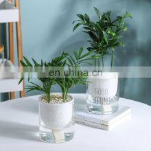 New Product Auto Ceramic Planter Succulent Flower Plant Planter Self Watering Pots thumbnail-5