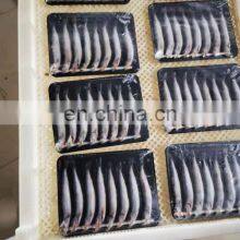Wholesale One Night Dried Capelin Fish for Export thumbnail-2