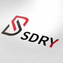 SHANDONG RIYANG ELECTRIC POWER TECHNOLOGY CO.,LTD