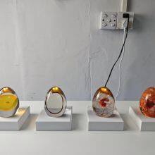 Egg Hatching Demonstration Model Manufacturer thumbnail-2