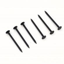 Black Common Nails - Blacked Surface Treatment for Corrosion Resistance thumbnail-1