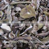 Wild Mushroom Factory Supplier for Imports thumbnail-6