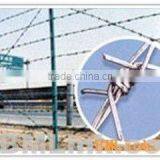 Rarbed Iron Wire(factory)