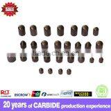 Professional Manufacture Tungsten Carbide Buttons