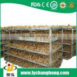 2014 Fresh Clean Ginger thumbnail-3