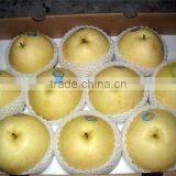 Industrial Having Good Sense Fresh Pears thumbnail-4