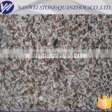 Polished Old Quarry Saint Louis in Portugal Stone