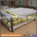 High Quality Hot Dipped Galvanized and Pvc Coated Roll Chain Link Fence