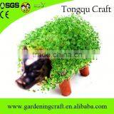 Return Gifts for Birthday Chia Pet Diwali Gifts Baby Shower Gifts thumbnail-3