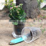 Natural Transparent Decorative Indoor Flower Pots With Tray thumbnail-1