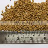 Fenugreek Seed thumbnail-3