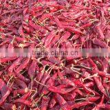 2015 New Crop Jinta Chili/ Jinta Pepper From China With Low Price thumbnail-3