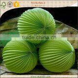 Birthday Party Supplies Paper Watermelon Lantern