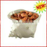 White Handmade Ceramic Rare Sea Shells Wholesale thumbnail-2