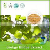 Top Plant Extract Ginkgo Biloba Powder Extract Powder