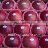 Huaniu Apple From China (Red Apple) thumbnail-1