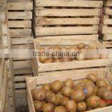 Super Kiwi Fruit thumbnail-1