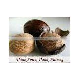 Nutmeg Seeds Without Shell Indian thumbnail-3