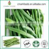 Wholesale frozen fresh myanmar green mung bean price