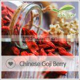 Organic Goji Berry thumbnail-6