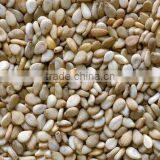 Best Price Hulled Sesame Seeds for Importers thumbnail-2
