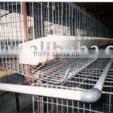 Poultry Cages