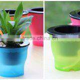 Mini Decorated Fancy Cute Self Watering Flower Pot thumbnail-5